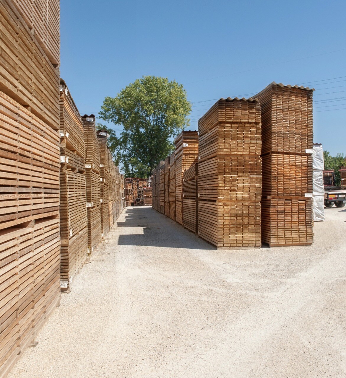 AZIENDA Grande